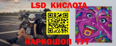 прущие грибы Бузулук