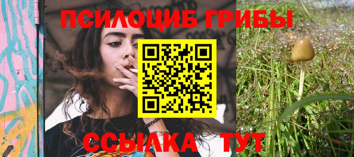 Галлюциногенные грибы GOLDEN TEACHER  даркнет сайт  Юрга  Вход с VPN 