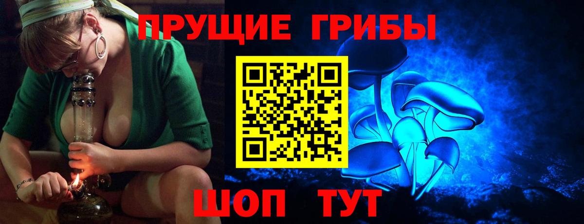 Галлюциногенные грибы Psilocybe Юрга